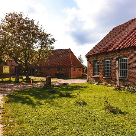 Отель Domo Camp - Nature Glamping Hof Viehbrook Rendswuhren Экстерьер фото