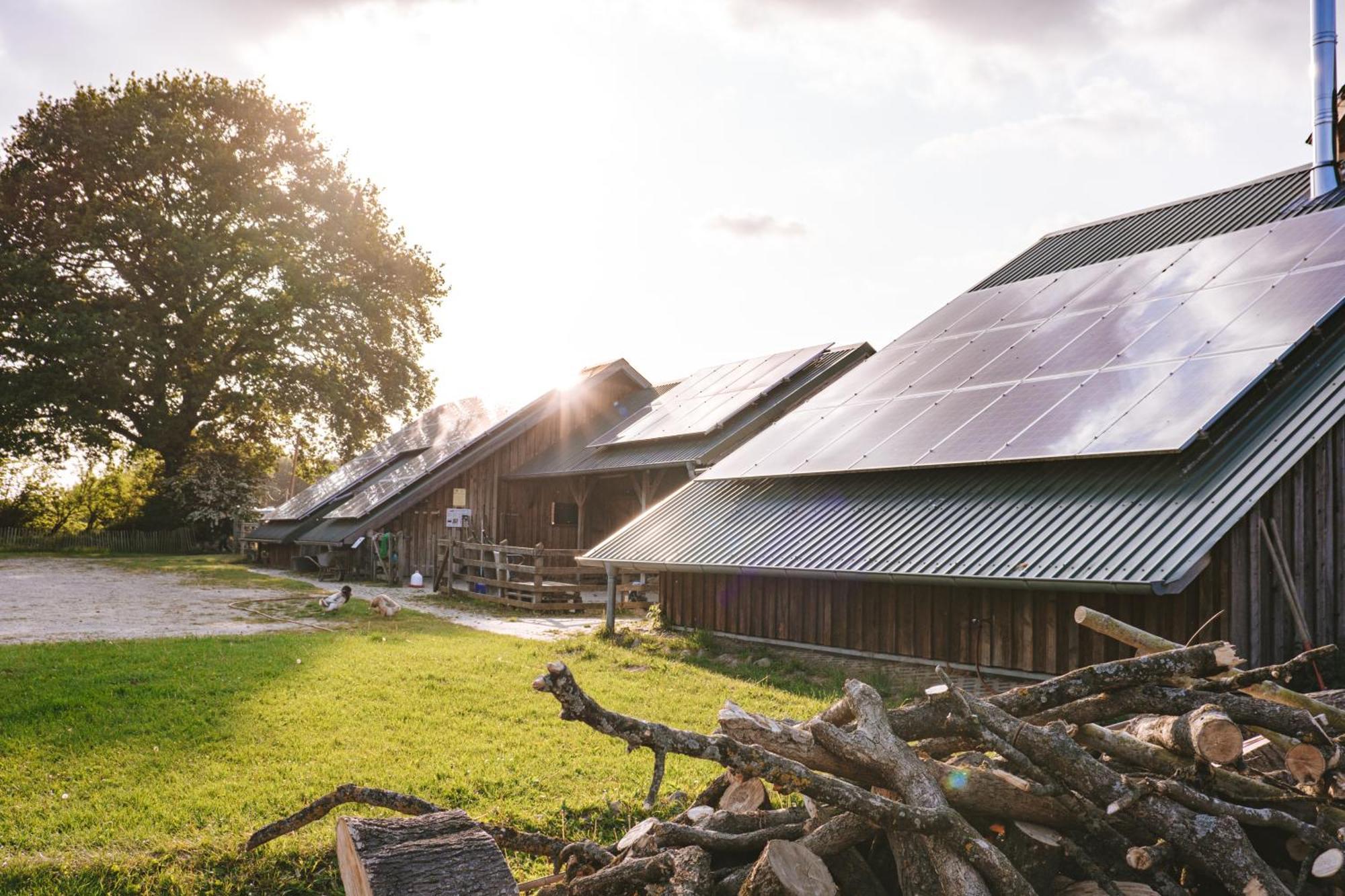 Отель Domo Camp - Nature Glamping Hof Viehbrook Rendswuhren Экстерьер фото
