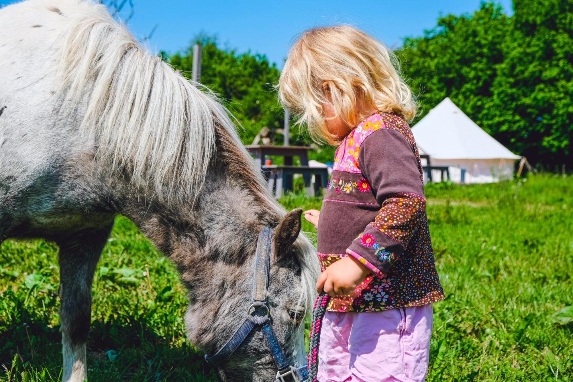 Отель Domo Camp - Nature Glamping Hof Viehbrook Rendswuhren Экстерьер фото